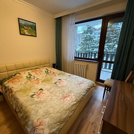 Denitsa Apartment 보로베츠 외부 사진