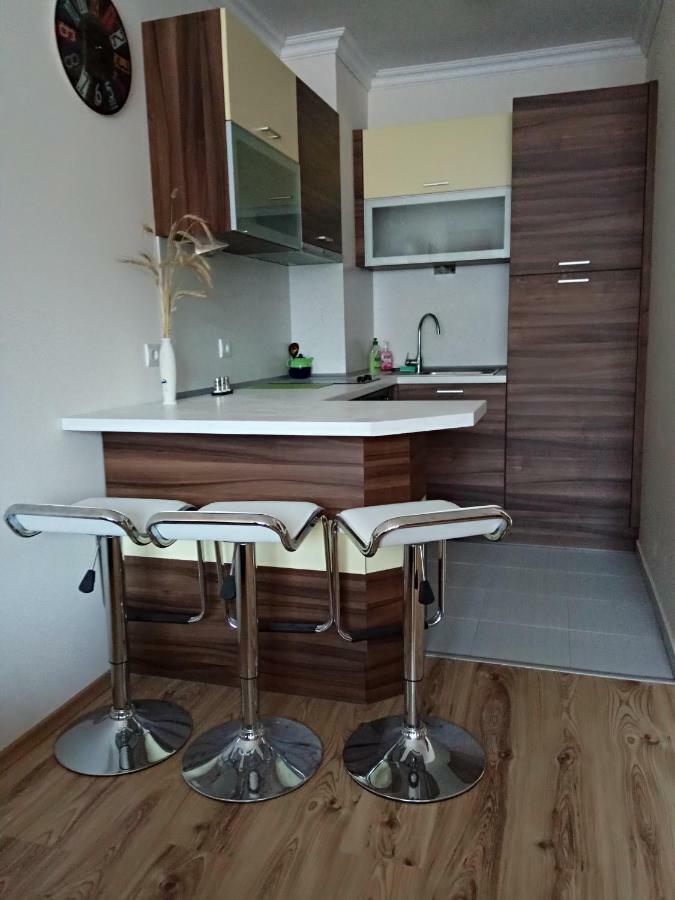 Denitsa Apartment 보로베츠 외부 사진